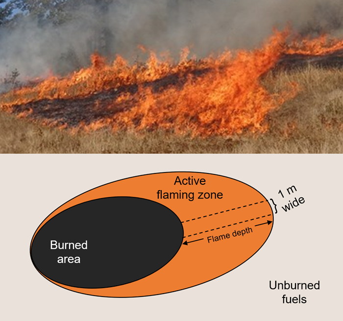 Fireline Intensity