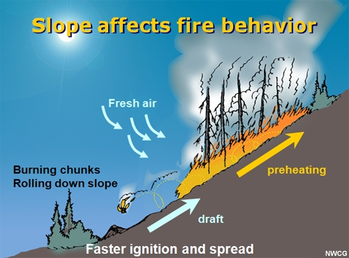 Fire moving upslope with draft, preheating and igniting the fuels ahead of it as burning chunks of fuel roll down slope.