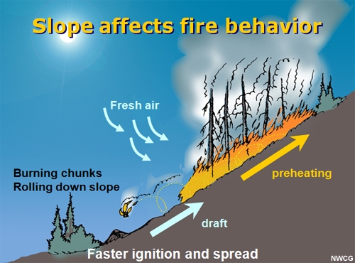 As fire burns uphill it drafts in fresh air and preheats fuels, increasing rates of spread. Burning embers may also roll down slope contributing to fire spread.