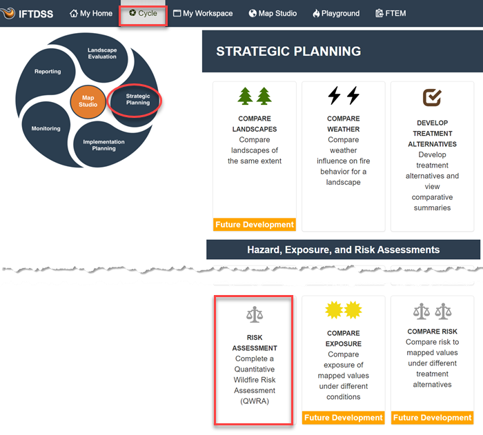 Risk Assessment is under the Strategic Planning stage of the IFTDSS Planning Cycle.