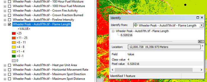 Identify window in Arcmap open showing the unique value, class value, and pixel value for a pixel.