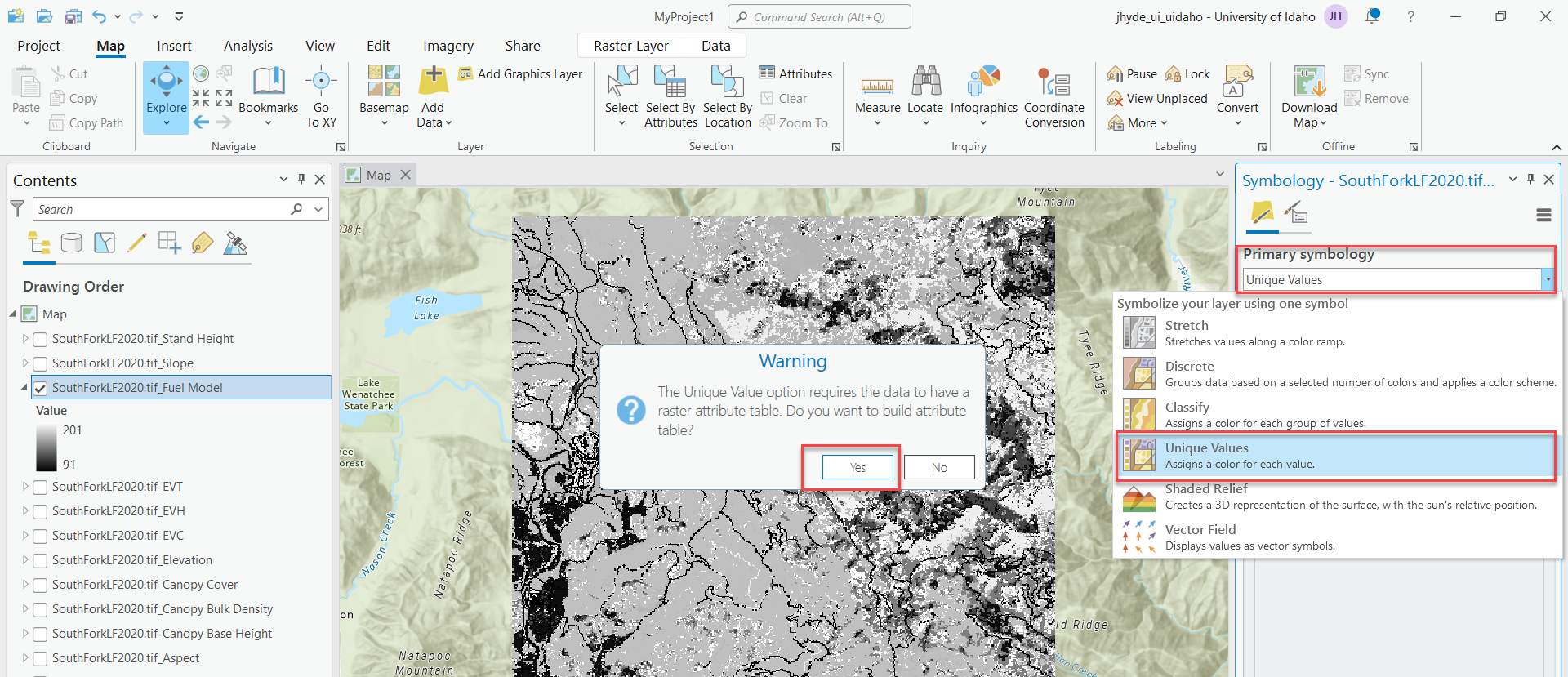 unique values window in ArcGIS Pro