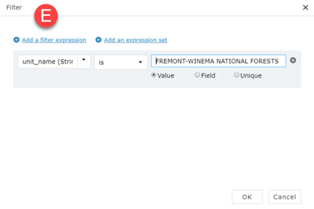 Use the filter to create expressions to query the attribute table.