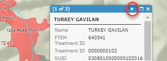 see the next treatment by clicking the arrow in the top right of the popup.