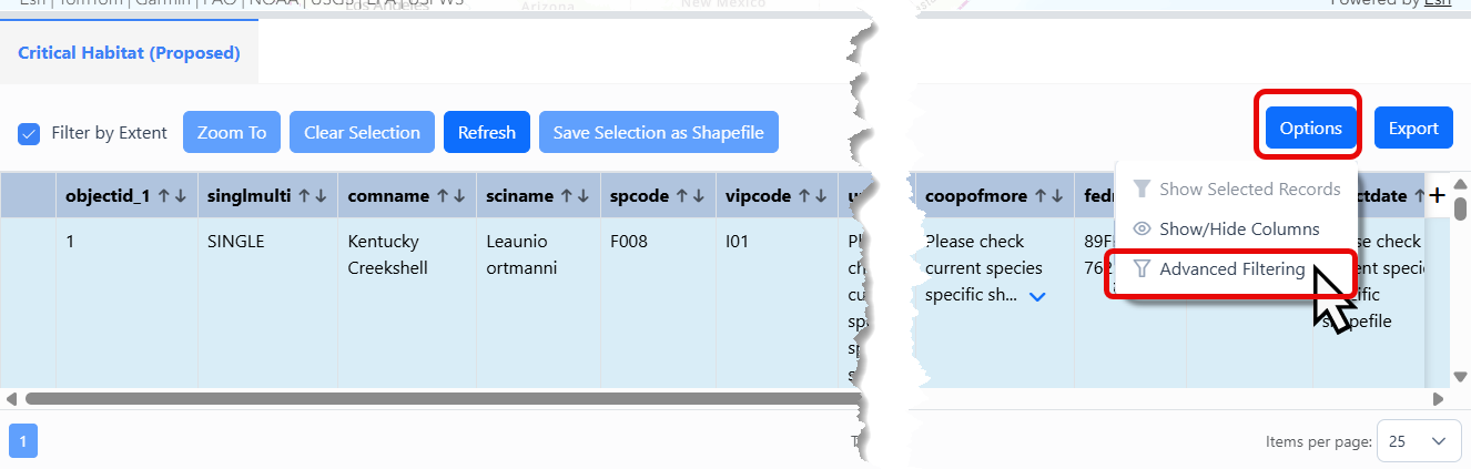 The attribute table is open with the Options button visible in the top right and Advanced Filtering visible in the Options menu. 