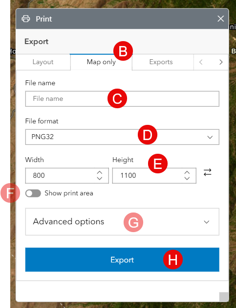 The Map only tab contains fields file name, file format and size, and file options.