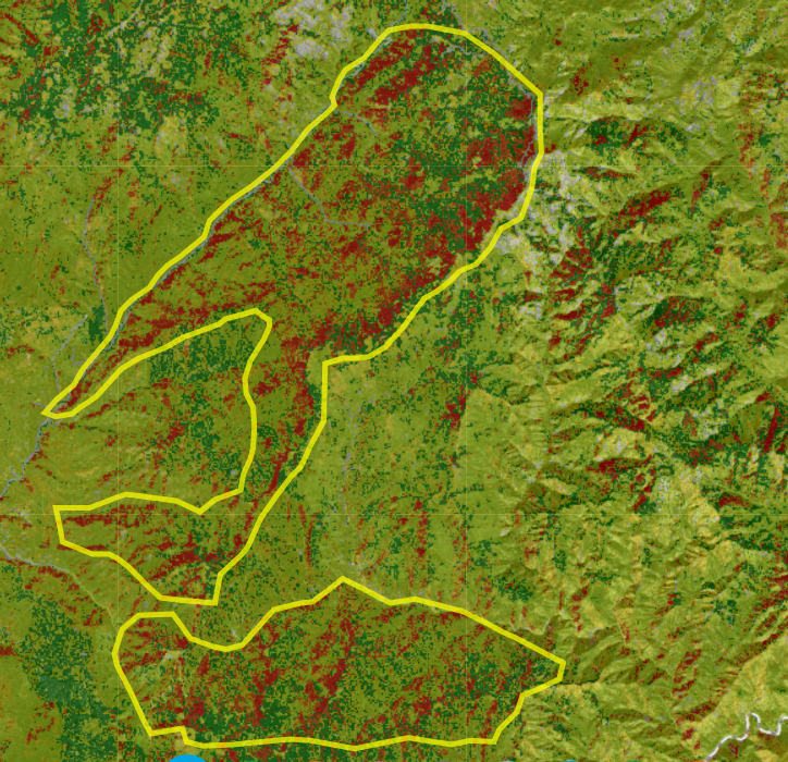 treatment areas are now visible in map studio