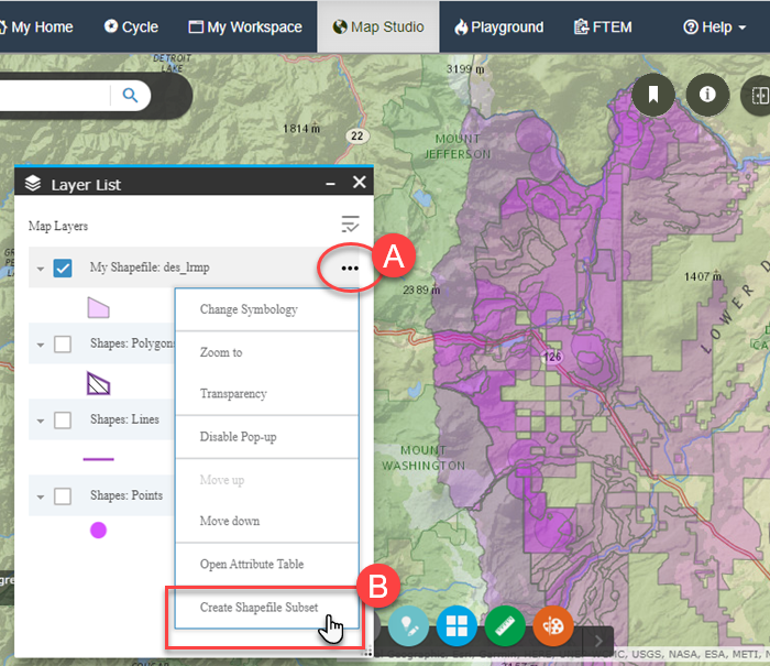 select the subset option from layer list.