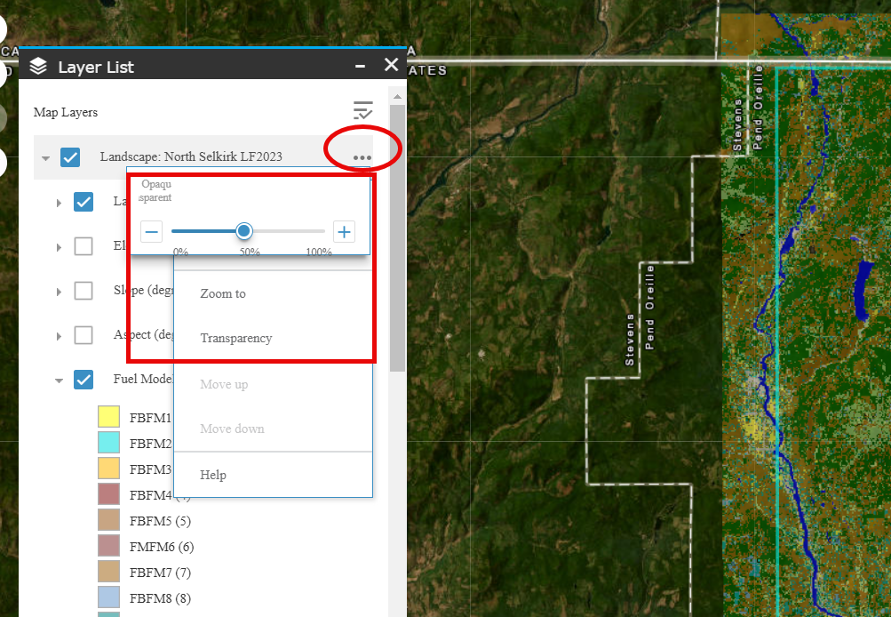 The transparency option visible after clicking More Options.