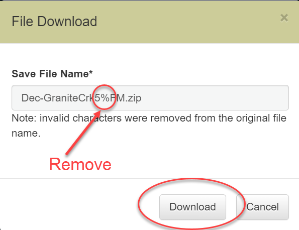 File name with a special character preventing it from downloading correctly.