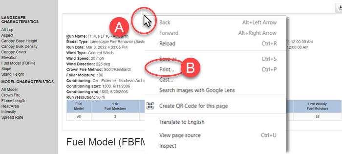 use the right mouse button to print a summary from your browser