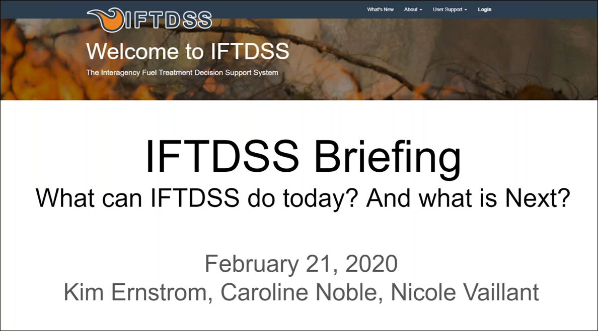 IFTDSS presentation title slide with speakers names listed.