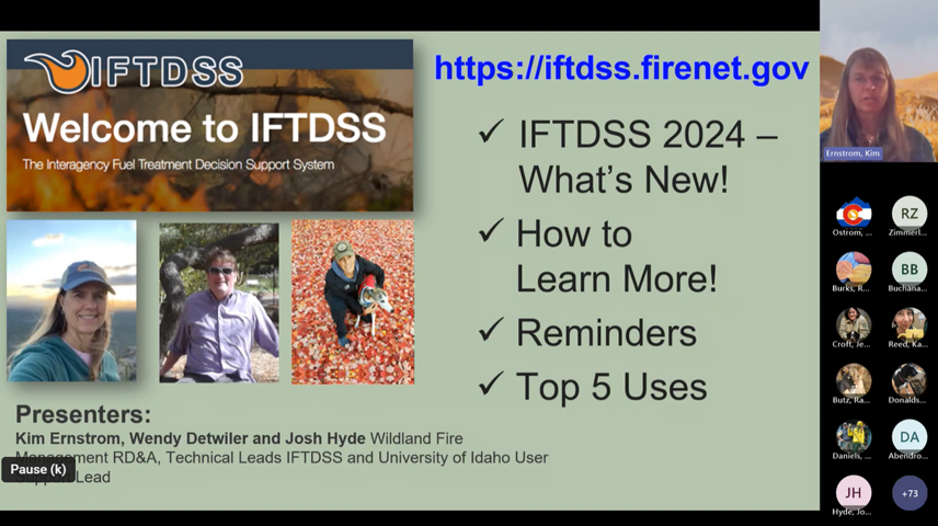 IFTDSS presentation title slide